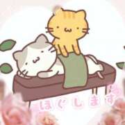 ヒメ日記 2026/02/06 00:50 投稿 ラン◆SP可◆ Ageha(アゲハ)