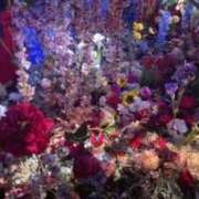 にこ 出勤しましたっっ?? 快楽玉乱堂