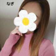 なぎ きんようび S級鑑定団