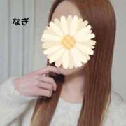 なぎ 出勤しました S級鑑定団