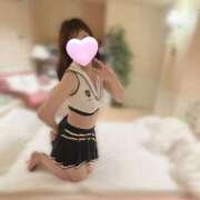 アオリイカ　障泥烏賊 特別な時間を2人で 女の子市場