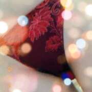 ヒメ日記 2025/12/10 23:59 投稿 わかこ 佐賀人妻デリヘル 「デリ夫人」