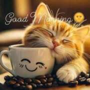 ヒメ日記 2026/01/03 07:42 投稿 わかこ 佐賀人妻デリヘル 「デリ夫人」