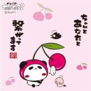 ヒメ日記 2026/01/28 07:18 投稿 わかこ 佐賀人妻デリヘル 「デリ夫人」