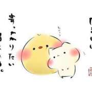 ヒメ日記 2026/02/06 09:00 投稿 わかこ 佐賀人妻デリヘル 「デリ夫人」