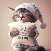 ヒメ日記 2026/02/09 07:52 投稿 わかこ 佐賀人妻デリヘル 「デリ夫人」