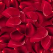 ヒメ日記 2026/02/27 15:00 投稿 わかこ 佐賀人妻デリヘル 「デリ夫人」