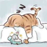 ヒメ日記 2026/03/14 06:54 投稿 わかこ 佐賀人妻デリヘル 「デリ夫人」