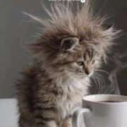 ヒメ日記 2026/03/20 07:14 投稿 わかこ 佐賀人妻デリヘル 「デリ夫人」