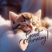 ヒメ日記 2026/03/21 07:16 投稿 わかこ 佐賀人妻デリヘル 「デリ夫人」