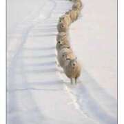 ヒメ日記 2026/03/29 01:49 投稿 わかこ 佐賀人妻デリヘル 「デリ夫人」