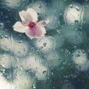 ヒメ日記 2026/04/10 09:18 投稿 わかこ 佐賀人妻デリヘル 「デリ夫人」