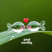 ヒメ日記 2026/04/12 07:40 投稿 わかこ 佐賀人妻デリヘル 「デリ夫人」