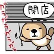 ヒメ日記 2026/04/19 16:49 投稿 わかこ 佐賀人妻デリヘル 「デリ夫人」