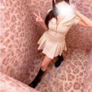 ヒメ日記 2025/12/24 10:01 投稿 みう 無敵YOKOHAMA