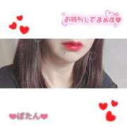 ヒメ日記 2025/12/09 08:58 投稿 ぼたん 熟女家 堺東店