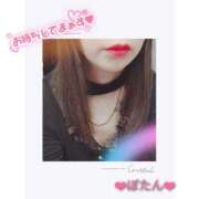 ヒメ日記 2026/04/08 11:57 投稿 ぼたん 熟女家 堺東店