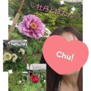 ヒメ日記 2026/04/26 21:17 投稿 ぼたん 熟女家 堺東店