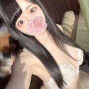 ヒメ日記 2026/02/24 21:46 投稿 せいな 風神会館新宿店