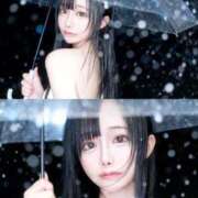 ヒメ日記 2026/02/24 21:50 投稿 せいな 風神会館新宿店