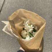 ヒメ日記 2025/10/27 00:27 投稿 みりあ いざ候 本館