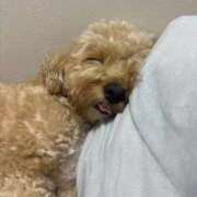 ヒメ日記 2025/10/05 17:19 投稿 ☆奇跡のRINO☆ Kiseki