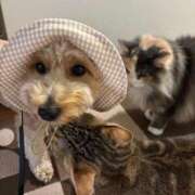 ヒメ日記 2025/10/10 17:09 投稿 ☆奇跡のRINO☆ Kiseki