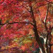 ひな あっためてくれる？❄️🤍 ピーチガール