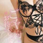 ヒメ日記 2025/10/08 16:00 投稿 えりさ 奥様メモリアル