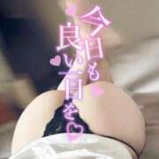 ヒメ日記 2025/12/17 18:48 投稿 えりさ 奥様メモリアル