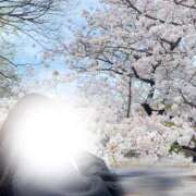 ヒメ日記 2026/03/29 14:14 投稿 すずか★S級！大島優子似の逸材 Chloe鶯谷・上野店 S級素人清楚系デリヘル