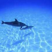 ヒメ日記 2025/09/22 17:12 投稿 壇 モアグループ所沢人妻城