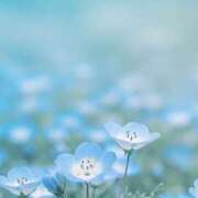 ヒメ日記 2025/09/23 18:57 投稿 壇 モアグループ所沢人妻城