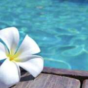 ヒメ日記 2025/09/27 13:27 投稿 壇 モアグループ所沢人妻城