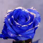 ヒメ日記 2025/10/06 13:42 投稿 壇 モアグループ所沢人妻城