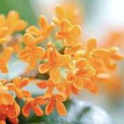 ヒメ日記 2025/10/17 19:03 投稿 壇 モアグループ所沢人妻城