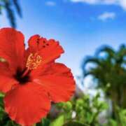 ヒメ日記 2025/10/26 10:36 投稿 壇 モアグループ所沢人妻城