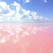 ヒメ日記 2025/10/29 10:48 投稿 壇 モアグループ所沢人妻城