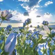 ヒメ日記 2025/10/30 09:18 投稿 壇 モアグループ所沢人妻城