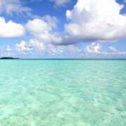 壇 お礼と出勤予定♡ モアグループ所沢人妻城