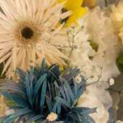 ヒメ日記 2025/09/05 08:01 投稿 ゆり 小岩ハイブリッドマッサージ