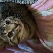 ヒメ日記 2026/02/13 12:23 投稿 きらら☆天真爛漫Mっ娘 大崎・古川 デリヘル 激安王