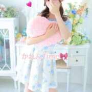 ヒメ日記 2026/02/12 12:29 投稿 かれん スピードエコ日本橋店