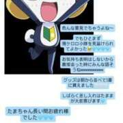 ヒメ日記 2026/06/26 13:18 投稿 ゆも ティアラ
