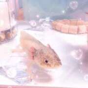 ヒメ日記 2026/07/28 09:30 投稿 ゆも ティアラ