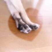 ヒメ日記 2026/01/12 23:04 投稿 藤沢 桃々 こあくまな熟女たち豊橋店（KOAKUMAグループ）