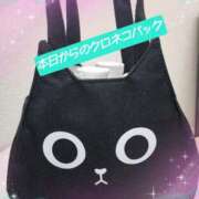 ヒメ日記 2025/09/14 16:10 投稿 ひなた 厚木人妻城