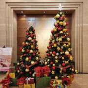 ヒメ日記 2025/12/01 18:38 投稿 ひなた 厚木人妻城