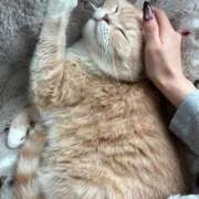 ヒメ日記 2025/11/22 10:22 投稿 南雲 さよ［L］ モンテクラブ