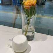 ヒメ日記 2025/09/08 12:37 投稿 西園(にしぞの) 人妻出逢い会 百合の園 山の手本店